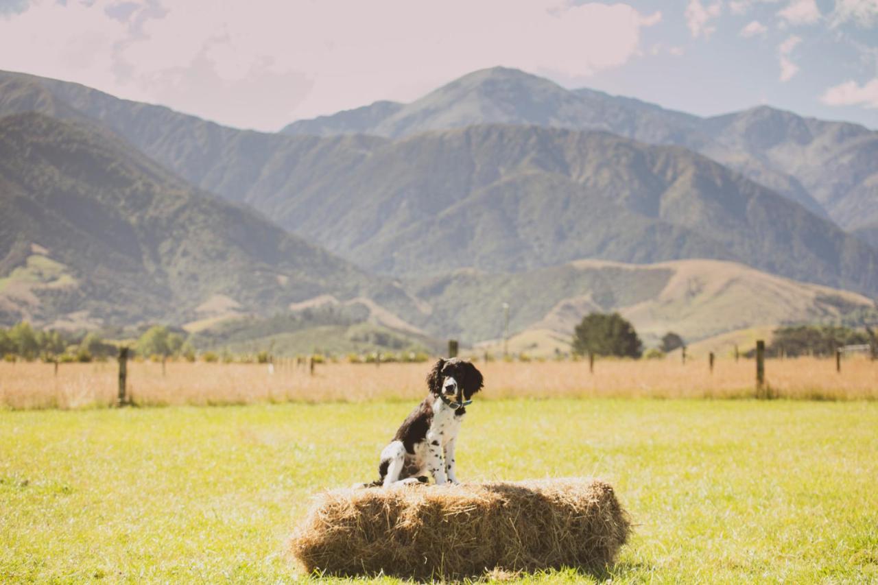 Awatea Country Bed & Breakfast Kaikoura Exterior foto