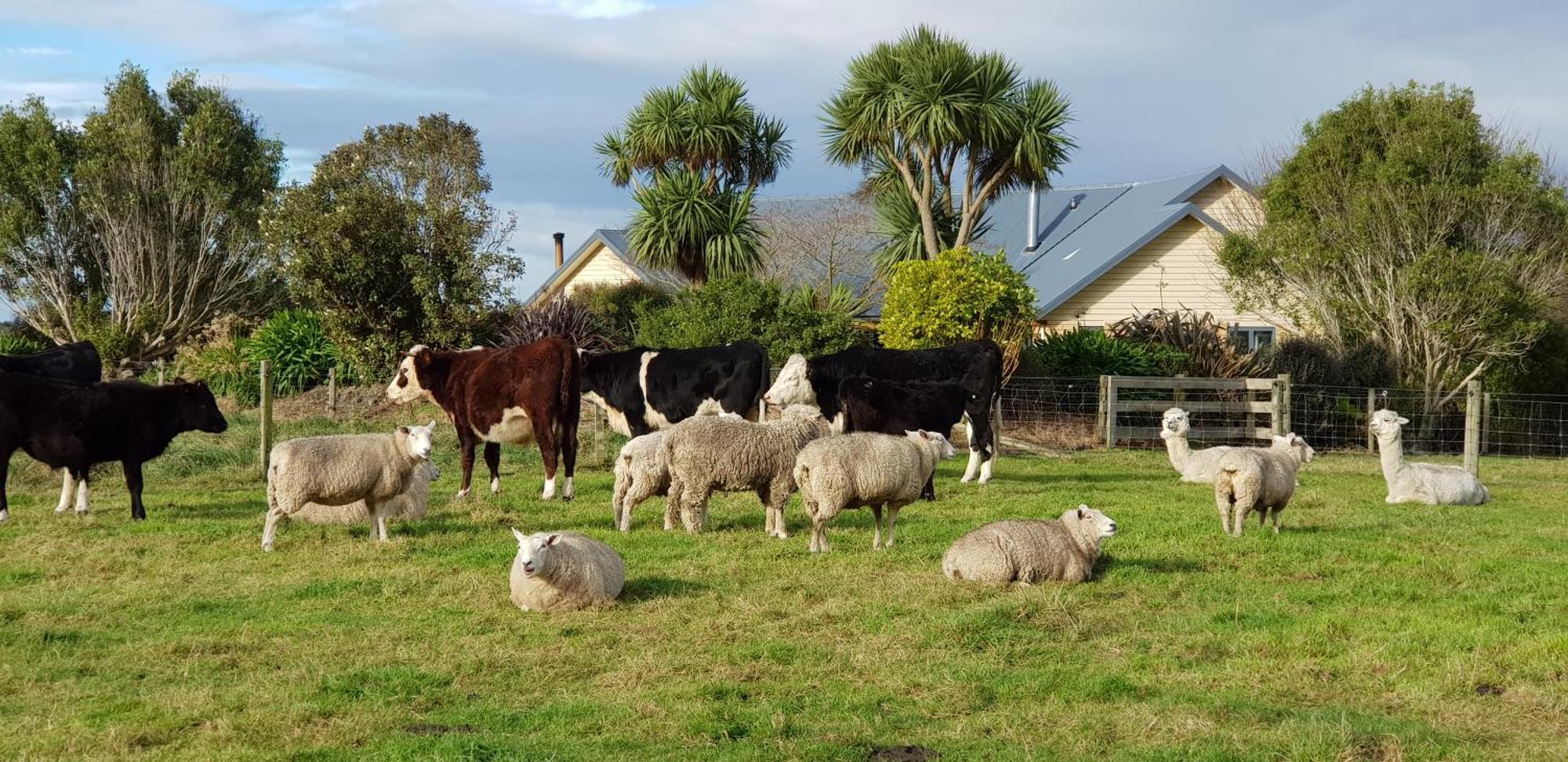 Awatea Country Bed & Breakfast Kaikoura Exterior foto