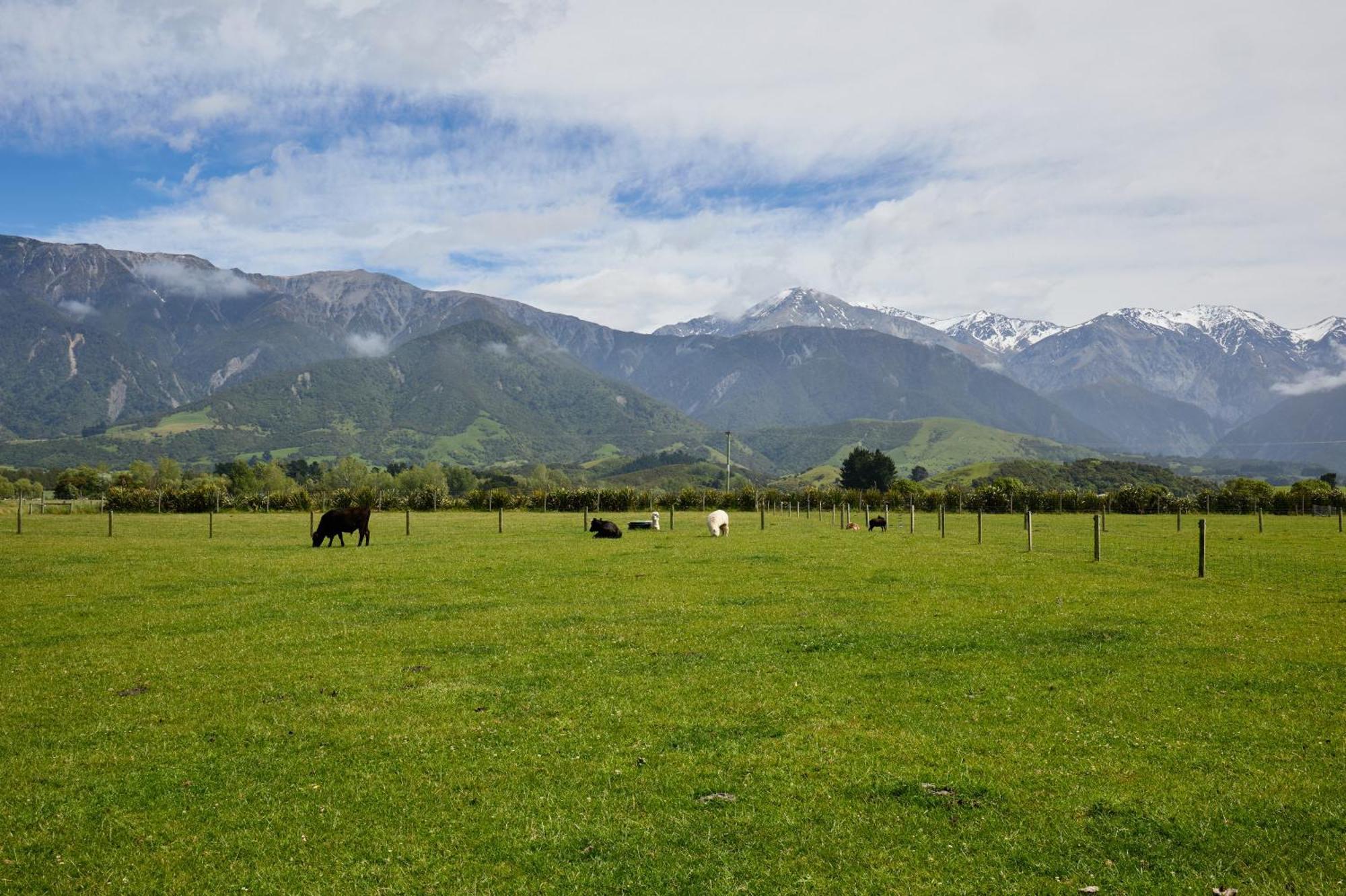 Awatea Country Bed & Breakfast Kaikoura Exterior foto